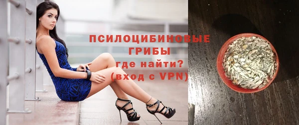 сатива Медвежьегорск