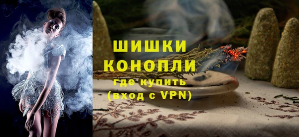 молекула духа Медногорск