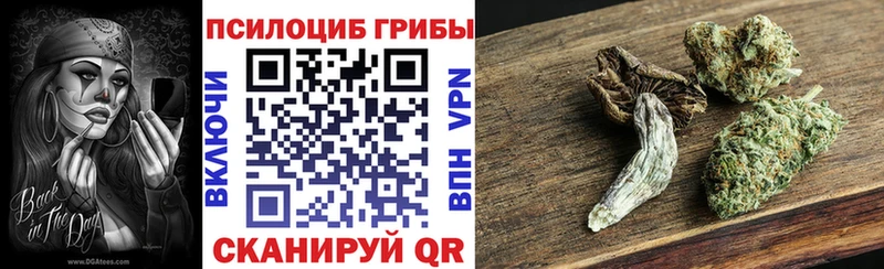 Купить закладки  Сольвычегодск  Галлюциногенные грибы Cubensis 